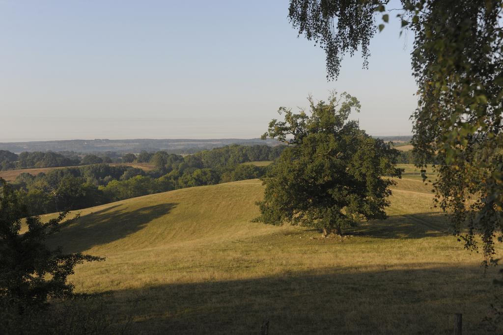 Schlosshotel Burg Schlitz Hohen Demzin Kültér fotó